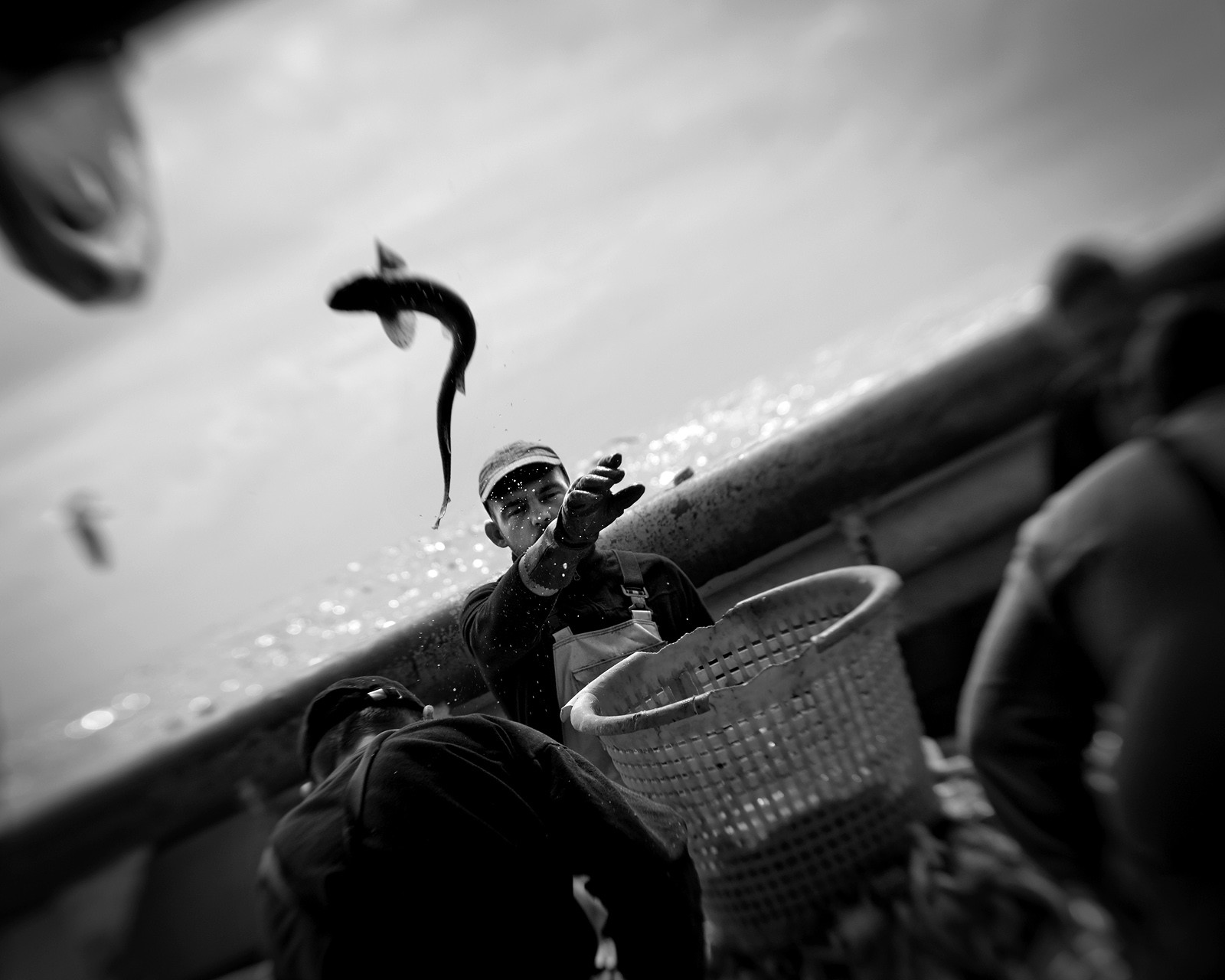 Marin pêcheur.. Deux mots qui suscitent tant de sentiments divers chez les gens de terre... Respect, admiration pour cette liberté, ce courage, mais aussi souvent peur et angoisse. Sont-ils fous ou désepérés pour risquer ainsi leurs vies quotidiennement ? Non, justes passionnés par leur métier, la mer est leur grande histoire d'amour.Le salaire de la peur des forcats de la mer, le journaliste avait raison.Ces photographies réalisées au cours de plusieurs marées à bord du Yannick, chalutier cherbourgeois, vous décrivent l'histoire d'un navire, d'un équipage, d'une famille. Vous embarquez à leurs côtés et découvrez leurs conditions de travail, la tempête, la fatigue, et, au détour d'une image, un sourire.Sophie LeroyDirectice de l'Armement Cherbourgeois