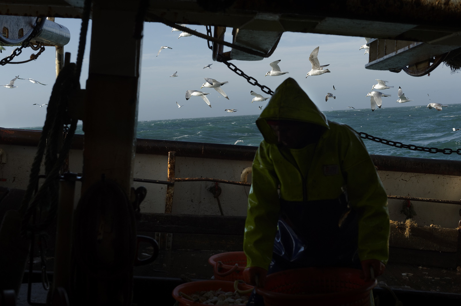 Ce reportage a été réalisé en janvier 2014 à bord du chalutier Marie-Catherine, appartenant à la SARL Armement Cherbourgeois créé en 1999 par Sophie et David LEROY. Cette marée de 7 jours fût assez mouvementée d'une part par la météo très capricieuse, mais également par la difficulté de réaliser les prises de vues. Une sélection de 20 photographies a été présentée lors de la 4ème édition du Festival photo L'Homme et la Mer au Guilvinec (Bretagne) en 2014, ainsi qu'au Musée de Tatihou 'Avis de grand frais (Manche) http:  www.armement-cherbourgeois.fr 