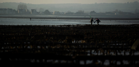Les parcs à huîtres de Saint-Vaast-la-Hougue (Cotentin)
