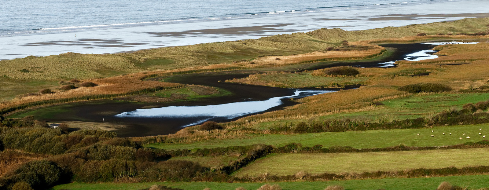 Mare de Vauville (La Hague)