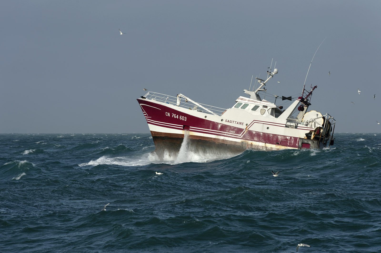 Ce reportage a été réalisé en janvier 2014 à bord du chalutier Marie-Catherine, appartenant à la SARL Armement Cherbourgeois créé en 1999 par Sophie et David LEROY. Cette marée de 7 jours fût assez mouvementée d'une part par la météo très capricieuse, mais également par la difficulté de réaliser les prises de vues. Une sélection de 20 photographies a été présentée lors de la 4ème édition du Festival photo L'Homme et la Mer au Guilvinec (Bretagne) en 2014, ainsi qu'au Musée de Tatihou 'Avis de grand frais (Manche) http:  www.armement-cherbourgeois.fr 