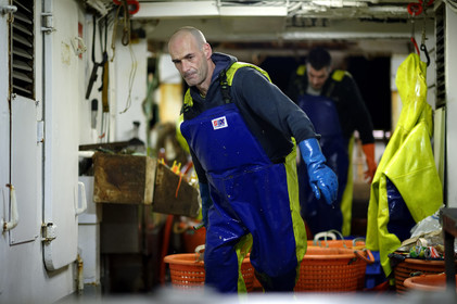 Ce reportage a été réalisé en janvier 2014 à bord du chalutier Marie-Catherine, appartenant à la SARL Armement Cherbourgeois créé en 1999 par Sophie et David LEROY. Cette marée de 7 jours fût assez mouvementée d'une part par la météo très capricieuse, mais également par la difficulté de réaliser les prises de vues. Une sélection de 20 photographies a été présentée lors de la 4ème édition du Festival photo L'Homme et la Mer au Guilvinec (Bretagne) en 2014, ainsi qu'au Musée de Tatihou 'Avis de grand frais (Manche) http:  www.armement-cherbourgeois.fr 