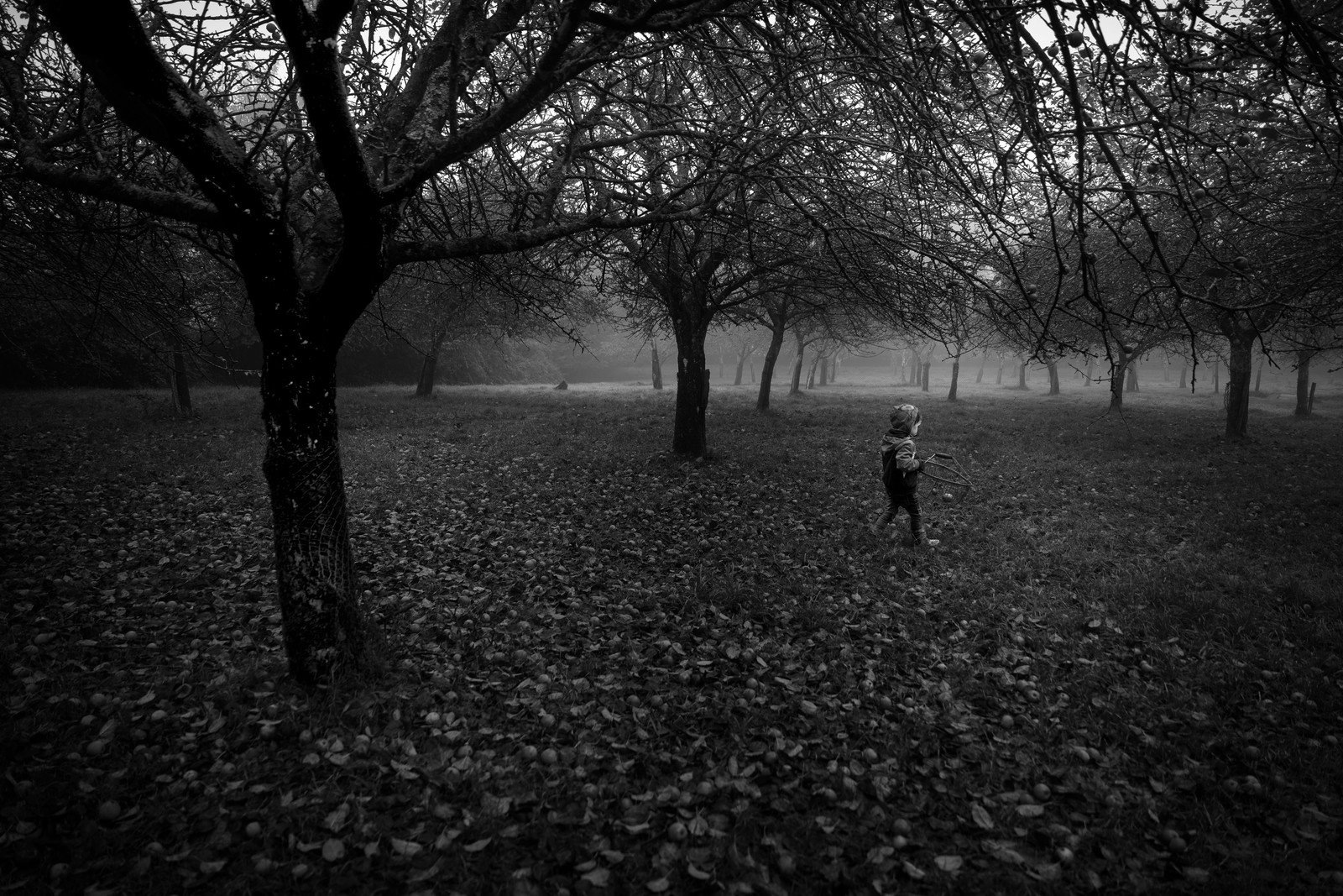 Les vergers du Clos Moulin