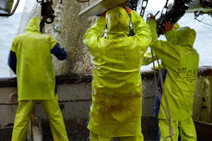 Ce reportage a été réalisé en janvier 2014 à bord du chalutier Marie-Catherine, appartenant à la SARL Armement Cherbourgeois créé en 1999 par Sophie et David LEROY. Cette marée de 7 jours fût assez mouvementée d'une part par la météo très capricieuse, mais également par la difficulté de réaliser les prises de vues. Une sélection de 20 photographies a été présentée lors de la 4ème édition du Festival photo L'Homme et la Mer au Guilvinec (Bretagne) en 2014, ainsi qu'au Musée de Tatihou 'Avis de grand frais (Manche) http:  www.armement-cherbourgeois.fr 