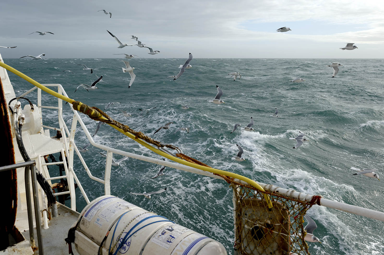 Ce reportage a été réalisé en janvier 2014 à bord du chalutier Marie-Catherine, appartenant à la SARL Armement Cherbourgeois créé en 1999 par Sophie et David LEROY. Cette marée de 7 jours fût assez mouvementée d'une part par la météo très capricieuse, mais également par la difficulté de réaliser les prises de vues. Une sélection de 20 photographies a été présentée lors de la 4ème édition du Festival photo L'Homme et la Mer au Guilvinec (Bretagne) en 2014, ainsi qu'au Musée de Tatihou 'Avis de grand frais (Manche) http:  www.armement-cherbourgeois.fr 