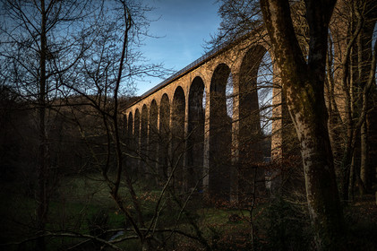 La Presqu'île du Cotentin