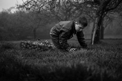 Les vergers du Clos Moulin