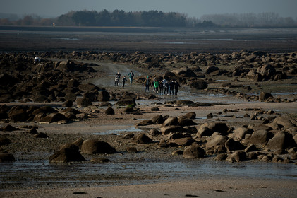 Les parcs à huîtres de Saint-Vaast-la-Hougue (Cotentin)