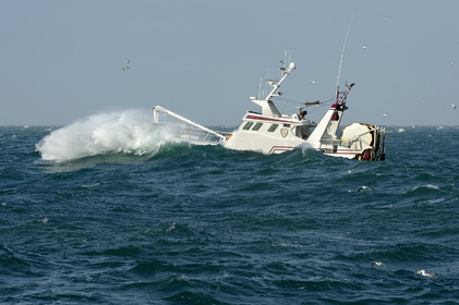 Ce reportage a été réalisé en janvier 2014 à bord du chalutier Marie-Catherine, appartenant à la SARL Armement Cherbourgeois créé en 1999 par Sophie et David LEROY. Cette marée de 7 jours fût assez mouvementée d'une part par la météo très capricieuse, mais également par la difficulté de réaliser les prises de vues. Une sélection de 20 photographies a été présentée lors de la 4ème édition du Festival photo L'Homme et la Mer au Guilvinec (Bretagne) en 2014, ainsi qu'au Musée de Tatihou 'Avis de grand frais (Manche) http:  www.armement-cherbourgeois.fr 