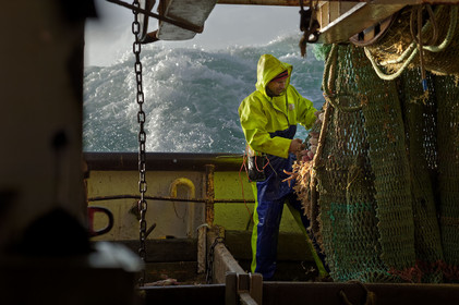 Ce reportage a été réalisé en janvier 2014 à bord du chalutier Marie-Catherine, appartenant à la SARL Armement Cherbourgeois créé en 1999 par Sophie et David LEROY. Cette marée de 7 jours fût assez mouvementée d'une part par la météo très capricieuse, mais également par la difficulté de réaliser les prises de vues. Une sélection de 20 photographies a été présentée lors de la 4ème édition du Festival photo L'Homme et la Mer au Guilvinec (Bretagne) en 2014, ainsi qu'au Musée de Tatihou 'Avis de grand frais (Manche) http:  www.armement-cherbourgeois.fr 