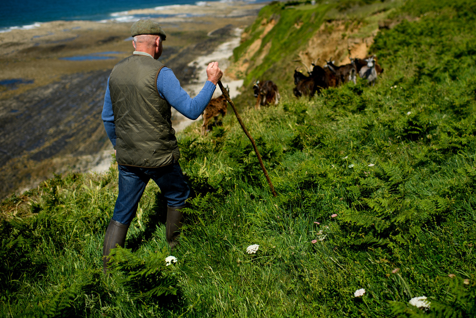 Reportage Des Racines et Des Ailes (mai 2023)