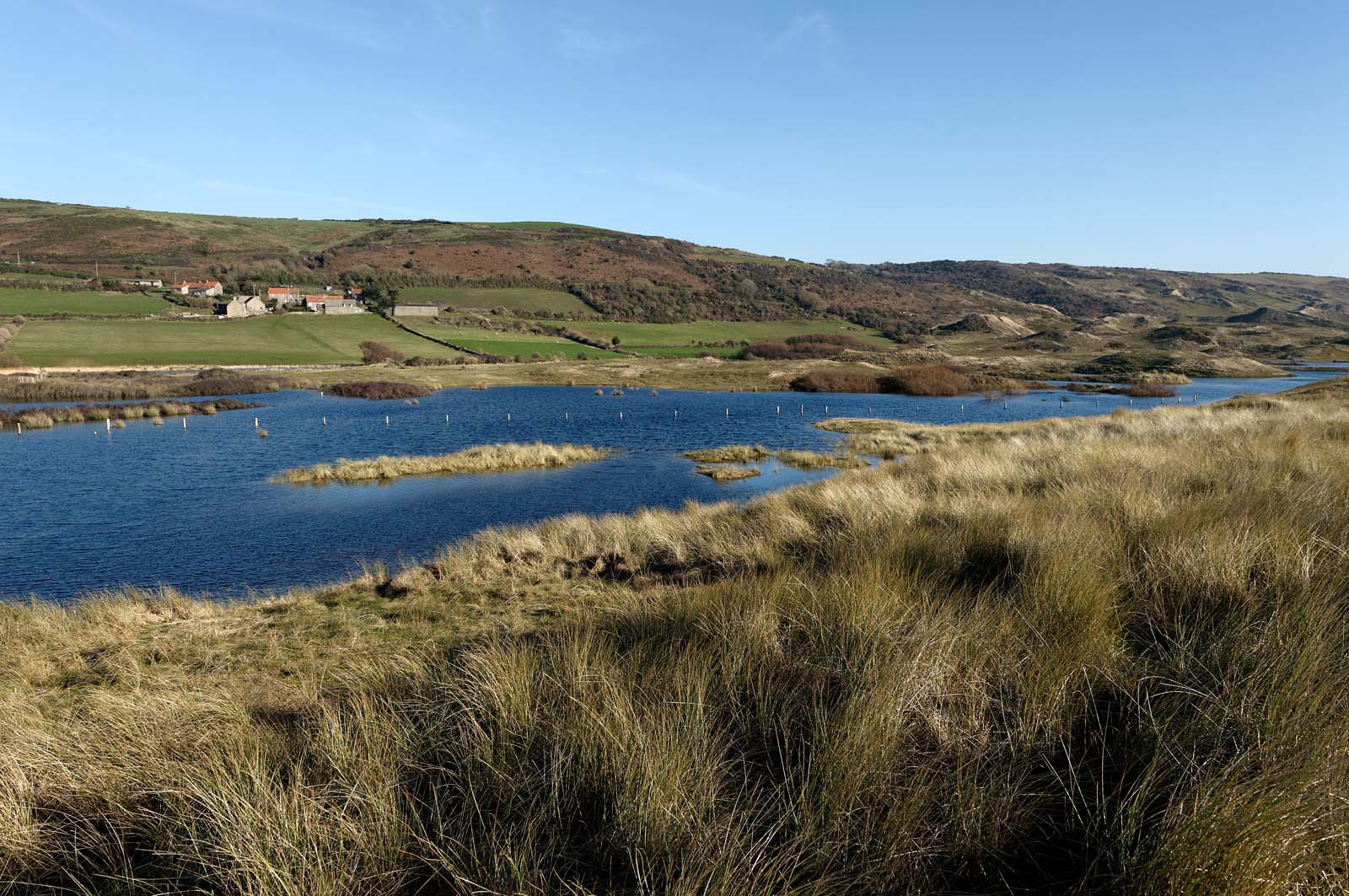 Le village de Vauville fait partie des sites classés de la Hague, Cap Cotentin. Les Pierres Pouquelées, galerie néolithique, sont un témoignage de l'Antiquité.La mare de Vauville est une réserve naturelle. Créée en 1976 c'est l'une des 135 réserves naturelles de France. Géré par le Groupe Ornithologique Normand depuis 1983, c'est un marais d'eau douce protégé de la mer par un étroit cordon dunaire. La mare de Vauville fait 62 ha, il y a plus de 150 espèces d'oiseaux ainsi que de 350 plantes et 16 espèces de batraciens.Un édifice autrefois religieux domine le village. C'est le prieuré de Vauville construit dans les landes, sur le haut d'une colline.Créé par Eric et Nicole Pellerin en 1947, l'exceptionnel jardin botanique du château de Vauville occupe plus de 40 000 m2. Abritant plus de 1000 espèces de l'hémisphère austral, le jardin entoure le château de Vauville dans une ambiance subtropicale tout à fait surprenante.