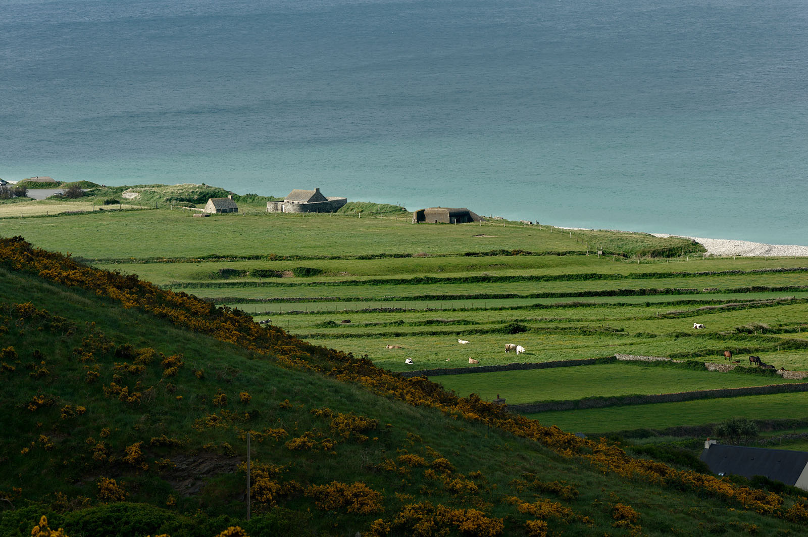 Le village de Vauville fait partie des sites classés de la Hague, Cap Cotentin. Les Pierres Pouquelées, galerie néolithique, sont un témoignage de l'Antiquité.La mare de Vauville est une réserve naturelle. Créée en 1976 c'est l'une des 135 réserves naturelles de France. Géré par le Groupe Ornithologique Normand depuis 1983, c'est un marais d'eau douce protégé de la mer par un étroit cordon dunaire. La mare de Vauville fait 62 ha, il y a plus de 150 espèces d'oiseaux ainsi que de 350 plantes et 16 espèces de batraciens.Un édifice autrefois religieux domine le village. C'est le prieuré de Vauville construit dans les landes, sur le haut d'une colline.Créé par Eric et Nicole Pellerin en 1947, l'exceptionnel jardin botanique du château de Vauville occupe plus de 40 000 m2. Abritant plus de 1000 espèces de l'hémisphère austral, le jardin entoure le château de Vauville dans une ambiance subtropicale tout à fait surprenante.