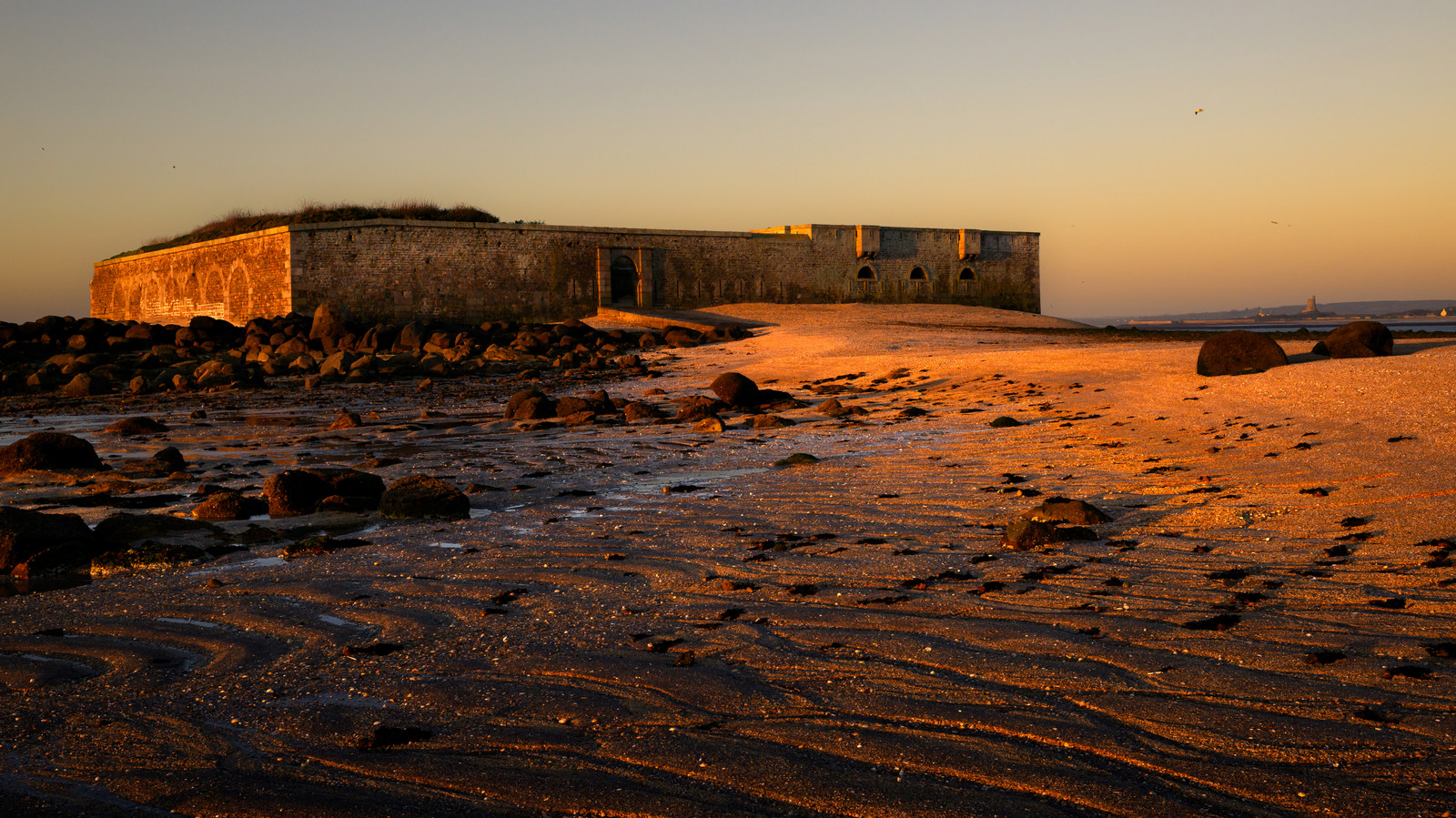 Les huîtres de Saint-Vaast-la-Hougue (Cotentin)