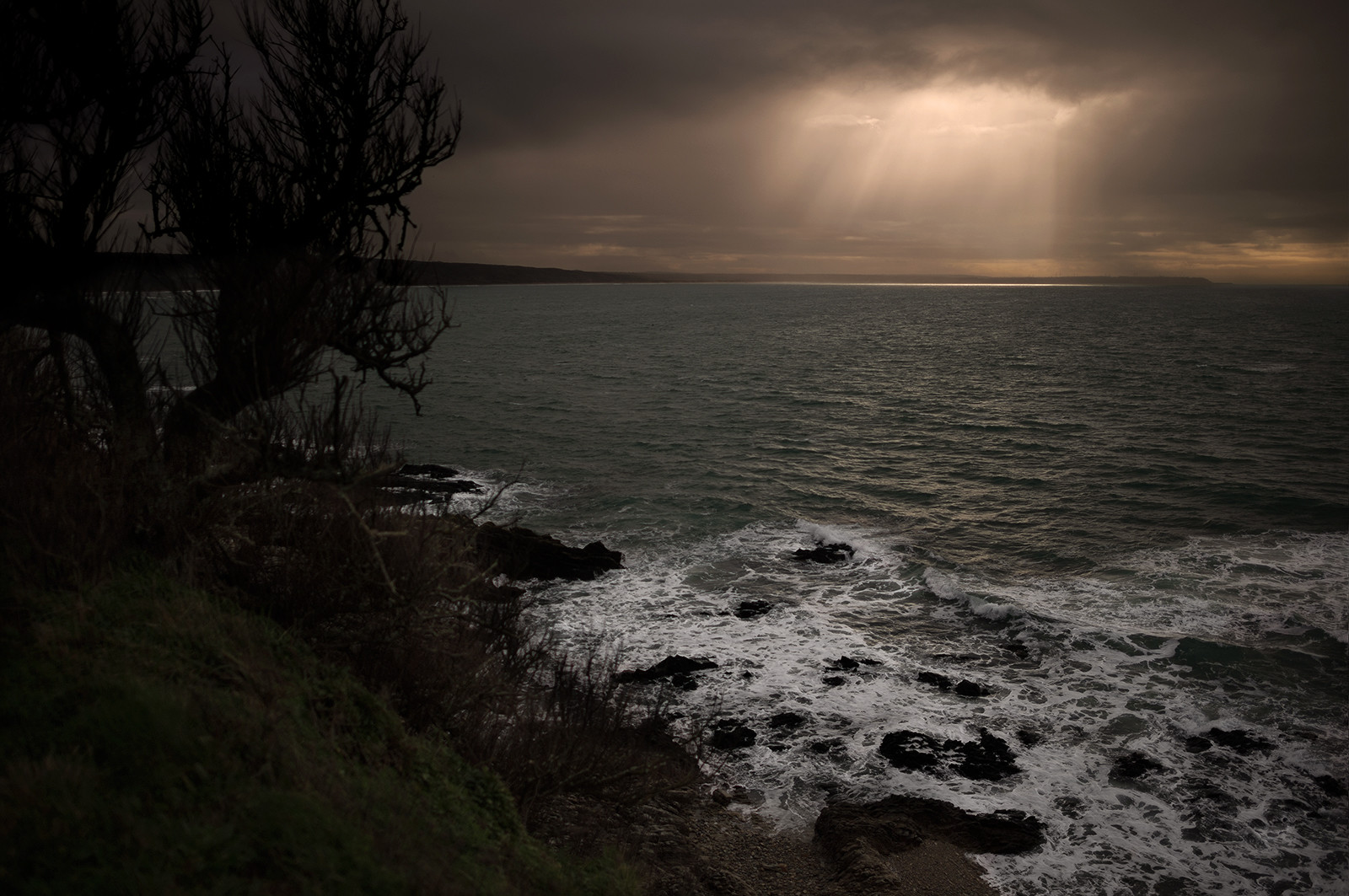 La Presqu'île du Cotentin