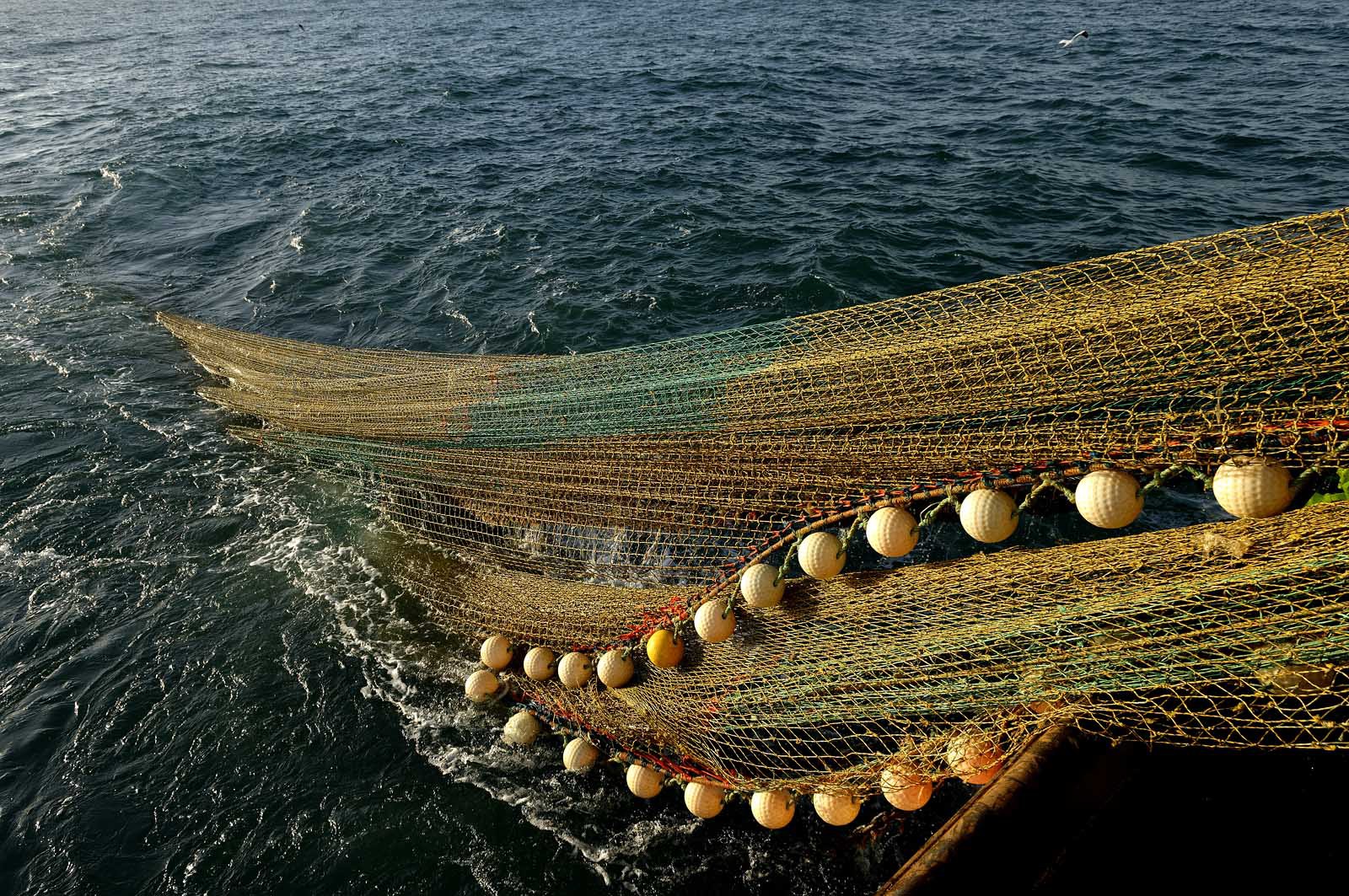 Ce reportage a été réalisé en janvier 2014 à bord du chalutier Marie-Catherine, appartenant à la SARL Armement Cherbourgeois créé en 1999 par Sophie et David LEROY. Cette marée de 7 jours fût assez mouvementée d'une part par la météo très capricieuse, mais également par la difficulté de réaliser les prises de vues. Une sélection de 20 photographies a été présentée lors de la 4ème édition du Festival photo L'Homme et la Mer au Guilvinec (Bretagne) en 2014, ainsi qu'au Musée de Tatihou 'Avis de grand frais (Manche) http:  www.armement-cherbourgeois.fr 