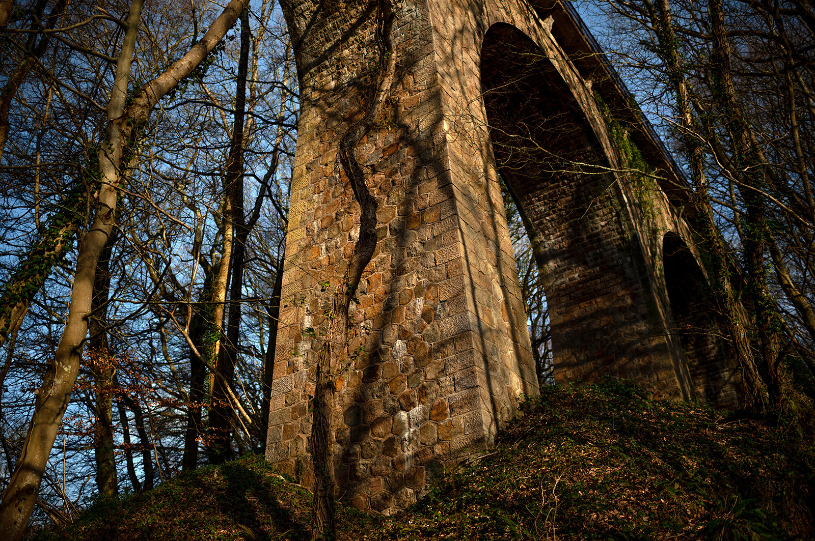 La Presqu'île du Cotentin