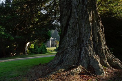 Situé sur la commune d'Urville-Nacqueville, l'ensemble ravissant du Château et du Parc de Nacqueville est caché dans une vallée côtière et verdoyante à 20 minutes à l'ouest de Cherbourg, dans la presqu'île du Cotentin (Manche).