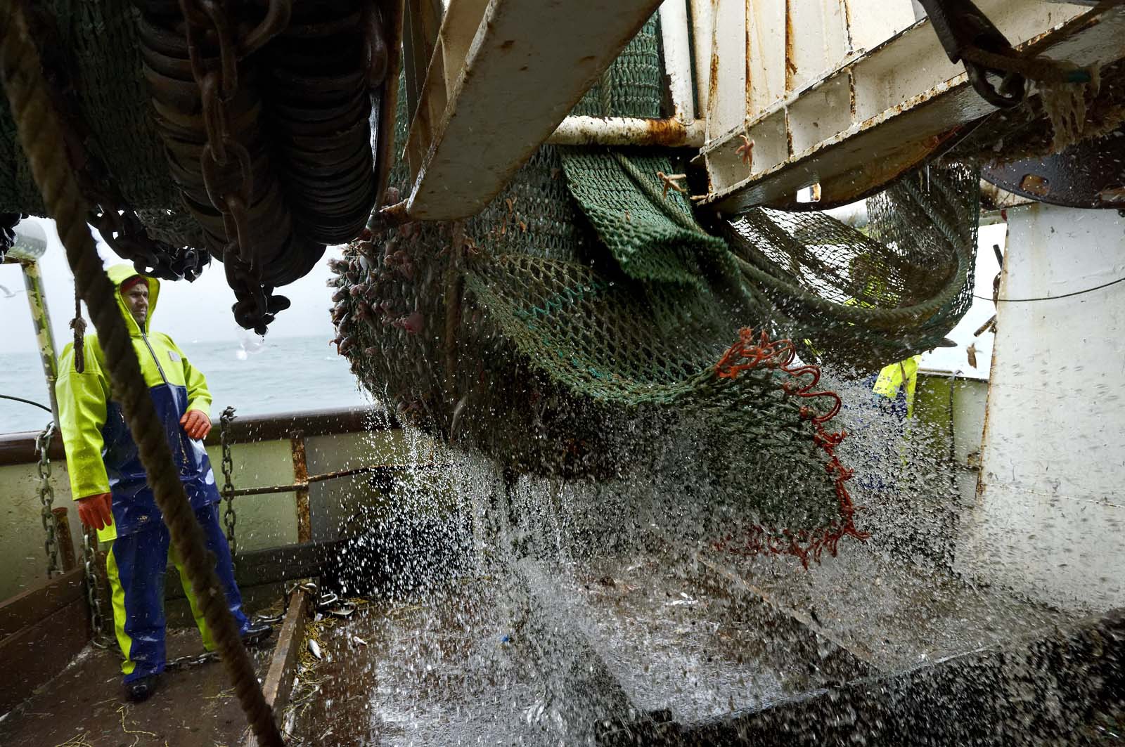 Ce reportage a été réalisé en janvier 2014 à bord du chalutier Marie-Catherine, appartenant à la SARL Armement Cherbourgeois créé en 1999 par Sophie et David LEROY. Cette marée de 7 jours fût assez mouvementée d'une part par la météo très capricieuse, mais également par la difficulté de réaliser les prises de vues. Une sélection de 20 photographies a été présentée lors de la 4ème édition du Festival photo L'Homme et la Mer au Guilvinec (Bretagne) en 2014, ainsi qu'au Musée de Tatihou 'Avis de grand frais (Manche) http:  www.armement-cherbourgeois.fr 