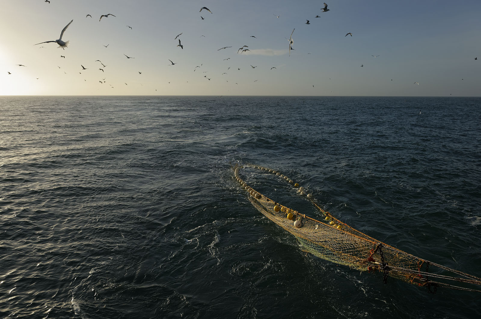 Ce reportage a été réalisé en janvier 2014 à bord du chalutier Marie-Catherine, appartenant à la SARL Armement Cherbourgeois créé en 1999 par Sophie et David LEROY. Cette marée de 7 jours fût assez mouvementée d'une part par la météo très capricieuse, mais également par la difficulté de réaliser les prises de vues. Une sélection de 20 photographies a été présentée lors de la 4ème édition du Festival photo L'Homme et la Mer au Guilvinec (Bretagne) en 2014, ainsi qu'au Musée de Tatihou 'Avis de grand frais (Manche) http:  www.armement-cherbourgeois.fr 