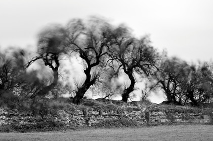 Antoine Soubigou Photographe