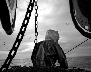 Marin pêcheur.. Deux mots qui suscitent tant de sentiments divers chez les gens de terre... Respect, admiration pour cette liberté, ce courage, mais aussi souvent peur et angoisse. Sont-ils fous ou désepérés pour risquer ainsi leurs vies quotidiennement ? Non, justes passionnés par leur métier, la mer est leur grande histoire d'amour.Le salaire de la peur des forcats de la mer, le journaliste avait raison.Ces photographies réalisées au cours de plusieurs marées à bord du Yannick, chalutier cherbourgeois, vous décrivent l'histoire d'un navire, d'un équipage, d'une famille. Vous embarquez à leurs côtés et découvrez leurs conditions de travail, la tempête, la fatigue, et, au détour d'une image, un sourire.Sophie LeroyDirectice de l'Armement Cherbourgeois