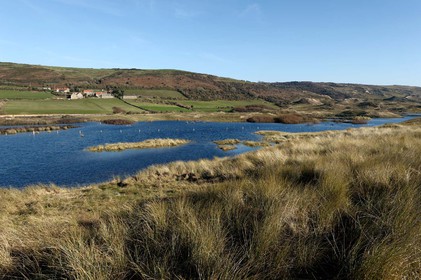 Le village de Vauville fait partie des sites classés de la Hague, Cap Cotentin. Les Pierres Pouquelées, galerie néolithique, sont un témoignage de l'Antiquité.La mare de Vauville est une réserve naturelle. Créée en 1976 c'est l'une des 135 réserves naturelles de France. Géré par le Groupe Ornithologique Normand depuis 1983, c'est un marais d'eau douce protégé de la mer par un étroit cordon dunaire. La mare de Vauville fait 62 ha, il y a plus de 150 espèces d'oiseaux ainsi que de 350 plantes et 16 espèces de batraciens.Un édifice autrefois religieux domine le village. C'est le prieuré de Vauville construit dans les landes, sur le haut d'une colline.Créé par Eric et Nicole Pellerin en 1947, l'exceptionnel jardin botanique du château de Vauville occupe plus de 40 000 m2. Abritant plus de 1000 espèces de l'hémisphère austral, le jardin entoure le château de Vauville dans une ambiance subtropicale tout à fait surprenante.