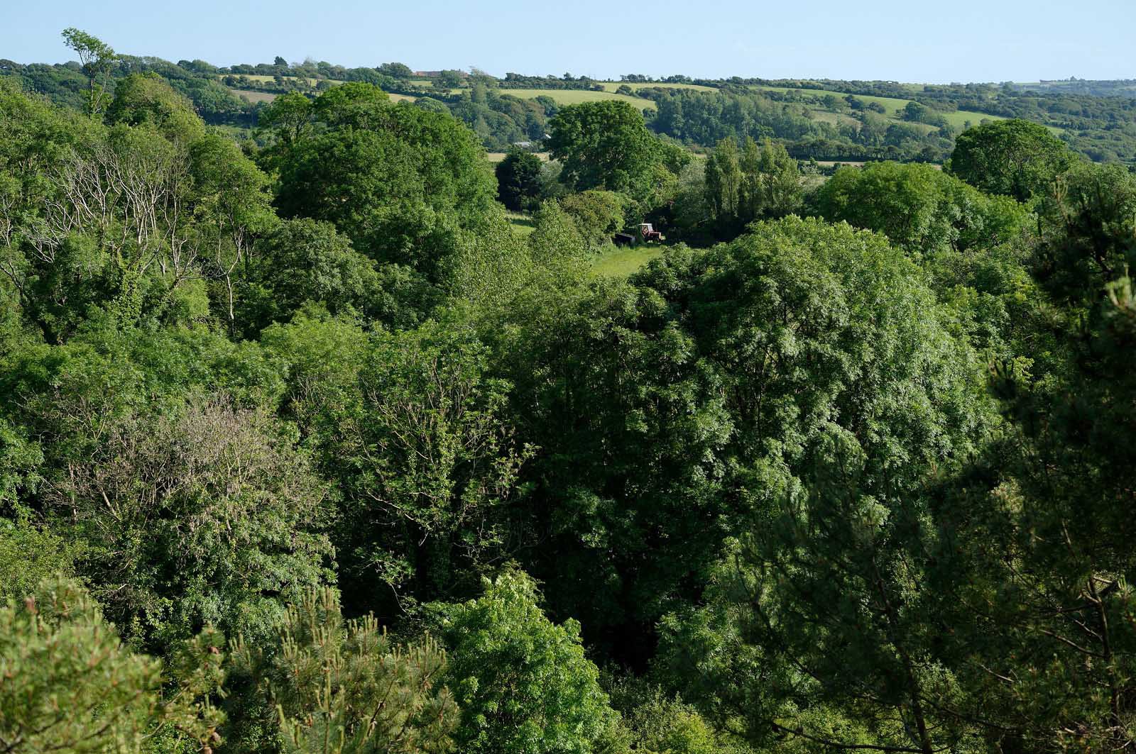 Les dunes de Biville couvrent plus de 700 hectares du littoral de la Hague (Manche), entre le cap de Flamanville et les falaises d’Herqueville. Elles constituent un massif naturel exceptionnel, tant par la qualité de ses paysages que sa richesse botanique.