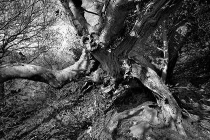 Antoine Soubigou Photographe