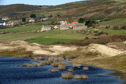 Le village de Vauville fait partie des sites classés de la Hague, Cap Cotentin. Les Pierres Pouquelées, galerie néolithique, sont un témoignage de l'Antiquité.La mare de Vauville est une réserve naturelle. Créée en 1976 c'est l'une des 135 réserves naturelles de France. Géré par le Groupe Ornithologique Normand depuis 1983, c'est un marais d'eau douce protégé de la mer par un étroit cordon dunaire. La mare de Vauville fait 62 ha, il y a plus de 150 espèces d'oiseaux ainsi que de 350 plantes et 16 espèces de batraciens.Un édifice autrefois religieux domine le village. C'est le prieuré de Vauville construit dans les landes, sur le haut d'une colline.Créé par Eric et Nicole Pellerin en 1947, l'exceptionnel jardin botanique du château de Vauville occupe plus de 40 000 m2. Abritant plus de 1000 espèces de l'hémisphère austral, le jardin entoure le château de Vauville dans une ambiance subtropicale tout à fait surprenante.