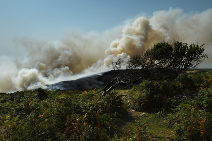 Incendie dans la Hague