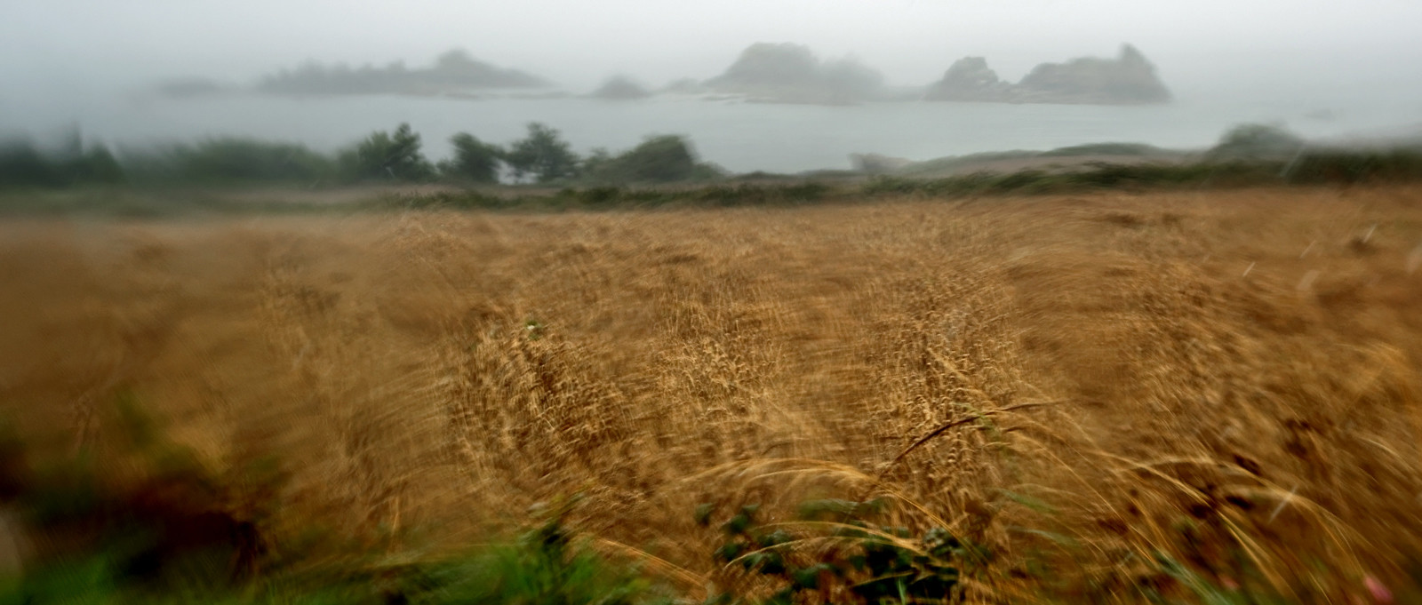 Une journée pluvieuse dans la Hague