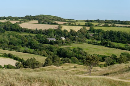 Les dunes de Biville couvrent plus de 700 hectares du littoral de la Hague (Manche), entre le cap de Flamanville et les falaises d’Herqueville. Elles constituent un massif naturel exceptionnel, tant par la qualité de ses paysages que sa richesse botanique.