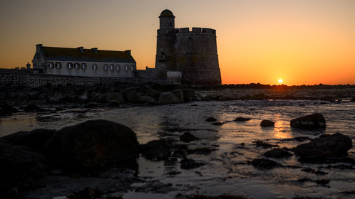 Les huîtres de Saint-Vaast-la-Hougue (Cotentin)