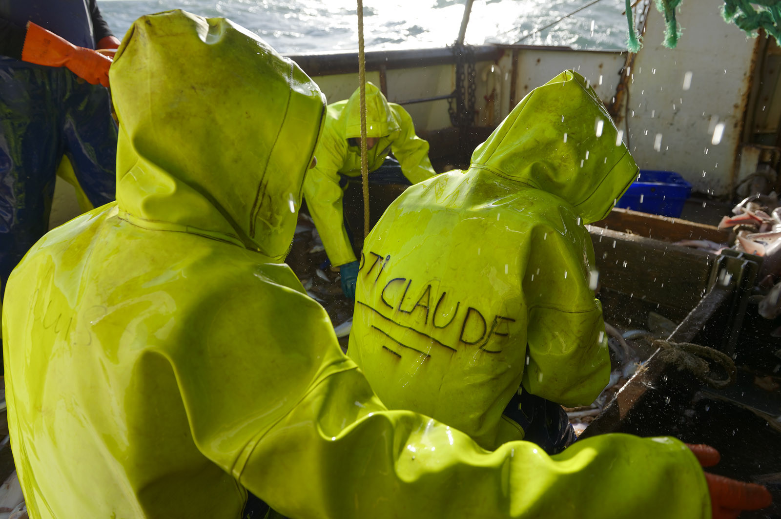 Ce reportage a été réalisé en janvier 2014 à bord du chalutier Marie-Catherine, appartenant à la SARL Armement Cherbourgeois créé en 1999 par Sophie et David LEROY. Cette marée de 7 jours fût assez mouvementée d'une part par la météo très capricieuse, mais également par la difficulté de réaliser les prises de vues. Une sélection de 20 photographies a été présentée lors de la 4ème édition du Festival photo L'Homme et la Mer au Guilvinec (Bretagne) en 2014, ainsi qu'au Musée de Tatihou 'Avis de grand frais (Manche) http:  www.armement-cherbourgeois.fr 