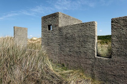 Les dunes de Biville couvrent plus de 700 hectares du littoral de la Hague (Manche), entre le cap de Flamanville et les falaises d’Herqueville. Elles constituent un massif naturel exceptionnel, tant par la qualité de ses paysages que sa richesse botanique.