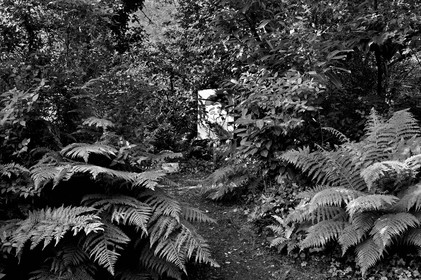 Antoine Soubigou Photographe