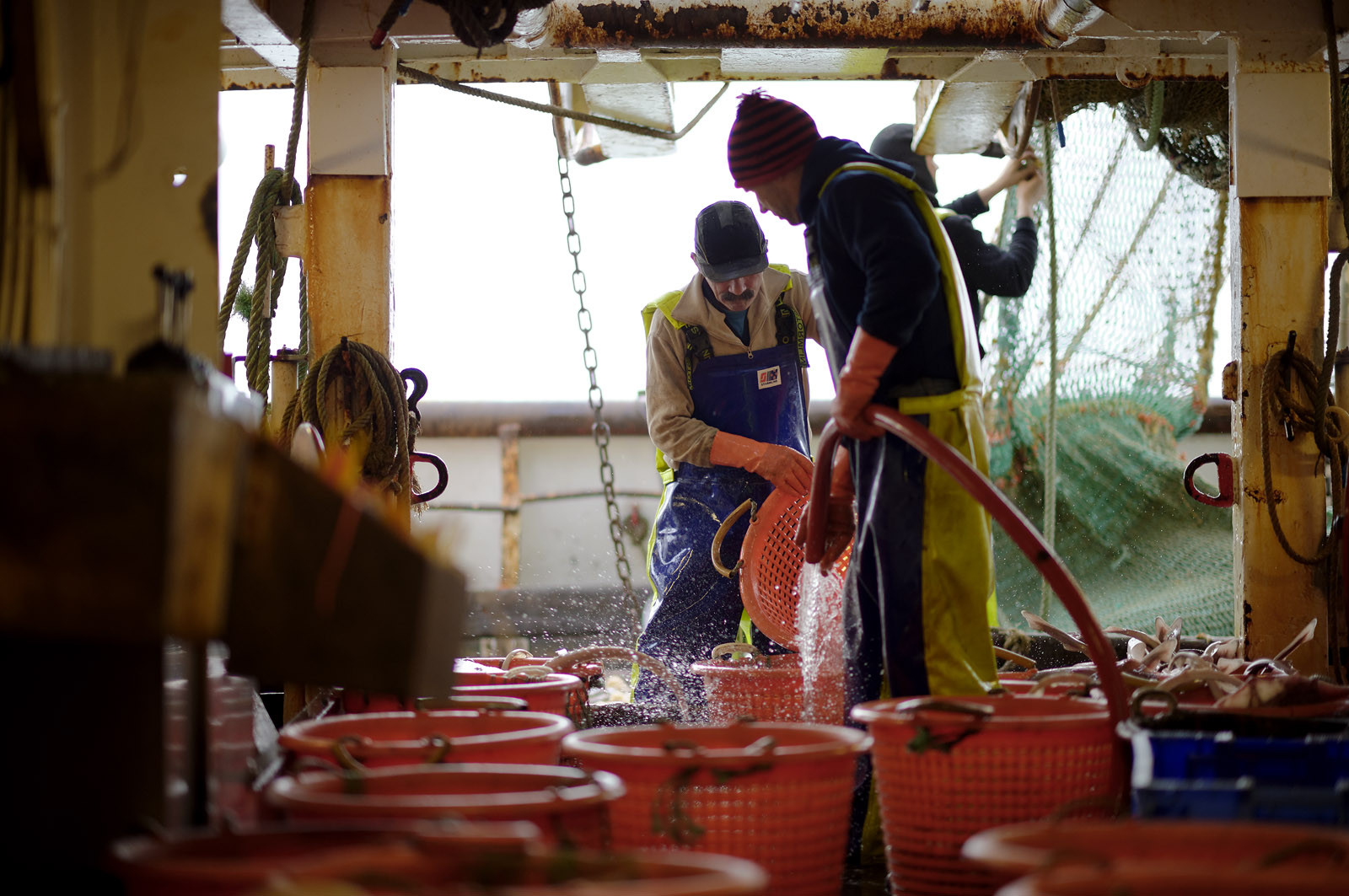 Ce reportage a été réalisé en janvier 2014 à bord du chalutier Marie-Catherine, appartenant à la SARL Armement Cherbourgeois créé en 1999 par Sophie et David LEROY. Cette marée de 7 jours fût assez mouvementée d'une part par la météo très capricieuse, mais également par la difficulté de réaliser les prises de vues. Une sélection de 20 photographies a été présentée lors de la 4ème édition du Festival photo L'Homme et la Mer au Guilvinec (Bretagne) en 2014, ainsi qu'au Musée de Tatihou 'Avis de grand frais (Manche) http:  www.armement-cherbourgeois.fr 