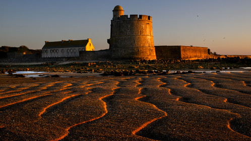 Les huîtres de Saint-Vaast-la-Hougue (Cotentin)