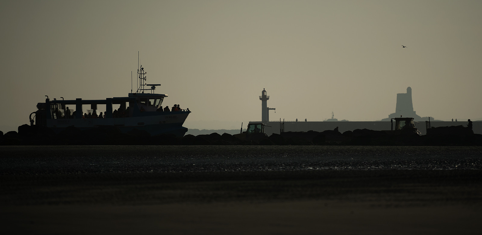 Les parcs à huîtres de Saint-Vaast-la-Hougue (Cotentin)