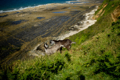Reportage Des Racines et Des Ailes (mai 2023)