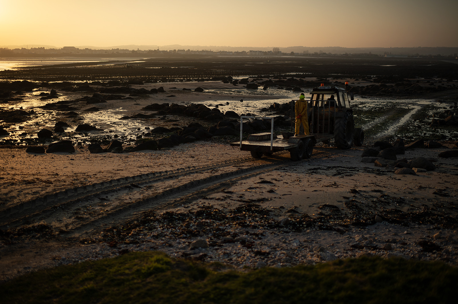 Les parcs à huîtres de Saint-Vaast-la-Hougue (Cotentin)