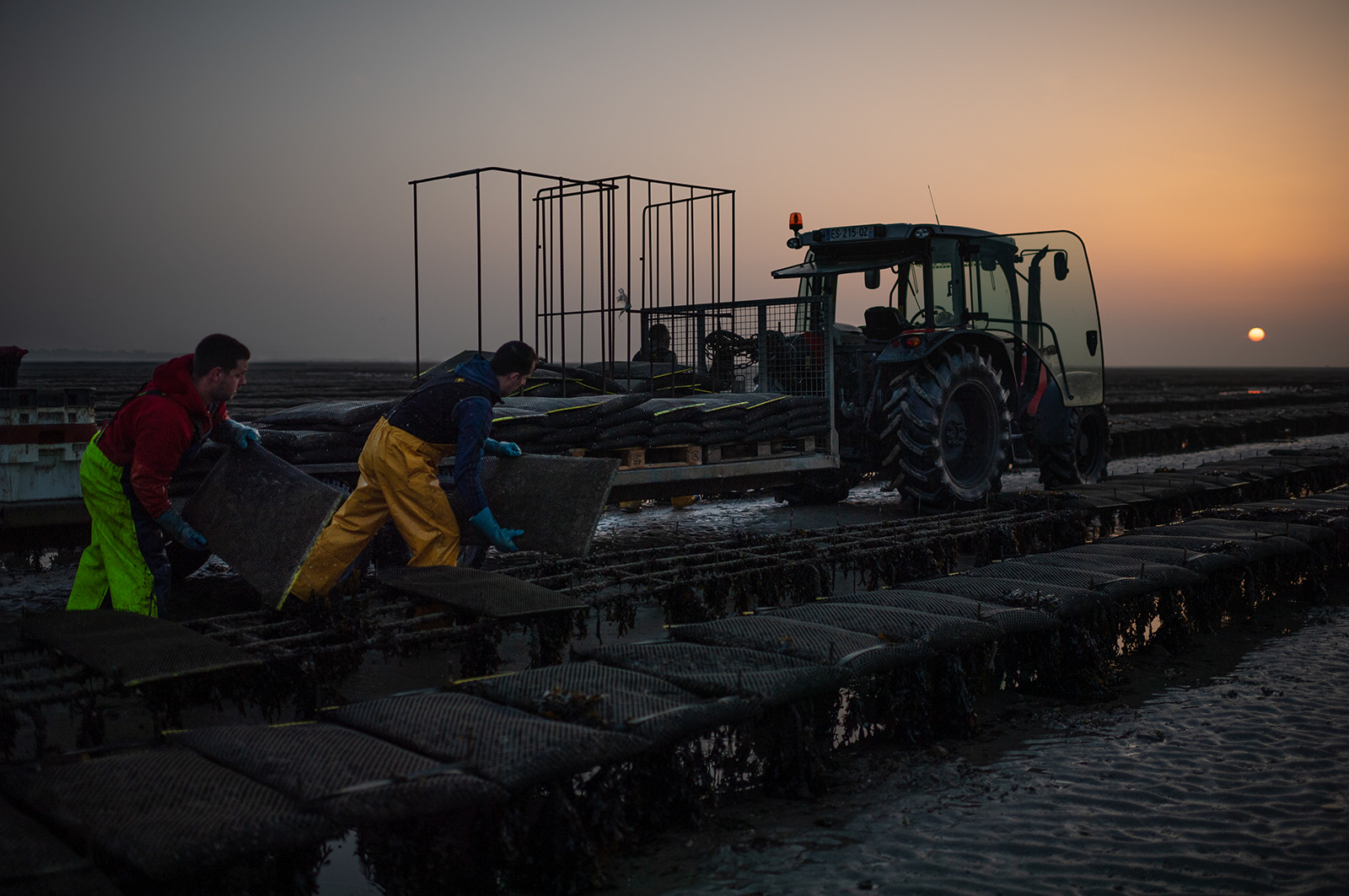 Les parcs à huîtres de Saint-Vaast-la-Hougue (Cotentin)