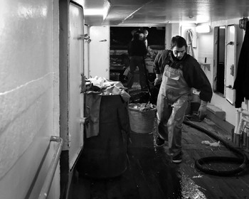 Marin pêcheur.. Deux mots qui suscitent tant de sentiments divers chez les gens de terre... Respect, admiration pour cette liberté, ce courage, mais aussi souvent peur et angoisse. Sont-ils fous ou désepérés pour risquer ainsi leurs vies quotidiennement ? Non, justes passionnés par leur métier, la mer est leur grande histoire d'amour.Le salaire de la peur des forcats de la mer, le journaliste avait raison.Ces photographies réalisées au cours de plusieurs marées à bord du Yannick, chalutier cherbourgeois, vous décrivent l'histoire d'un navire, d'un équipage, d'une famille. Vous embarquez à leurs côtés et découvrez leurs conditions de travail, la tempête, la fatigue, et, au détour d'une image, un sourire.Sophie LeroyDirectice de l'Armement Cherbourgeois