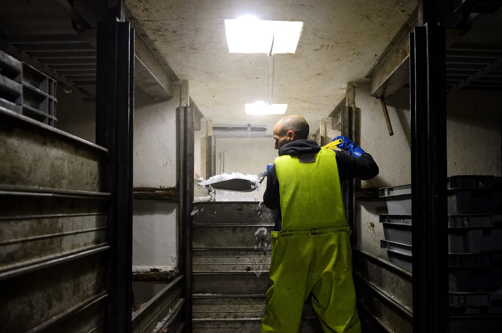 Ce reportage a été réalisé en janvier 2014 à bord du chalutier Marie-Catherine, appartenant à la SARL Armement Cherbourgeois créé en 1999 par Sophie et David LEROY. Cette marée de 7 jours fût assez mouvementée d'une part par la météo très capricieuse, mais également par la difficulté de réaliser les prises de vues. Une sélection de 20 photographies a été présentée lors de la 4ème édition du Festival photo L'Homme et la Mer au Guilvinec (Bretagne) en 2014, ainsi qu'au Musée de Tatihou 'Avis de grand frais (Manche) http:  www.armement-cherbourgeois.fr 