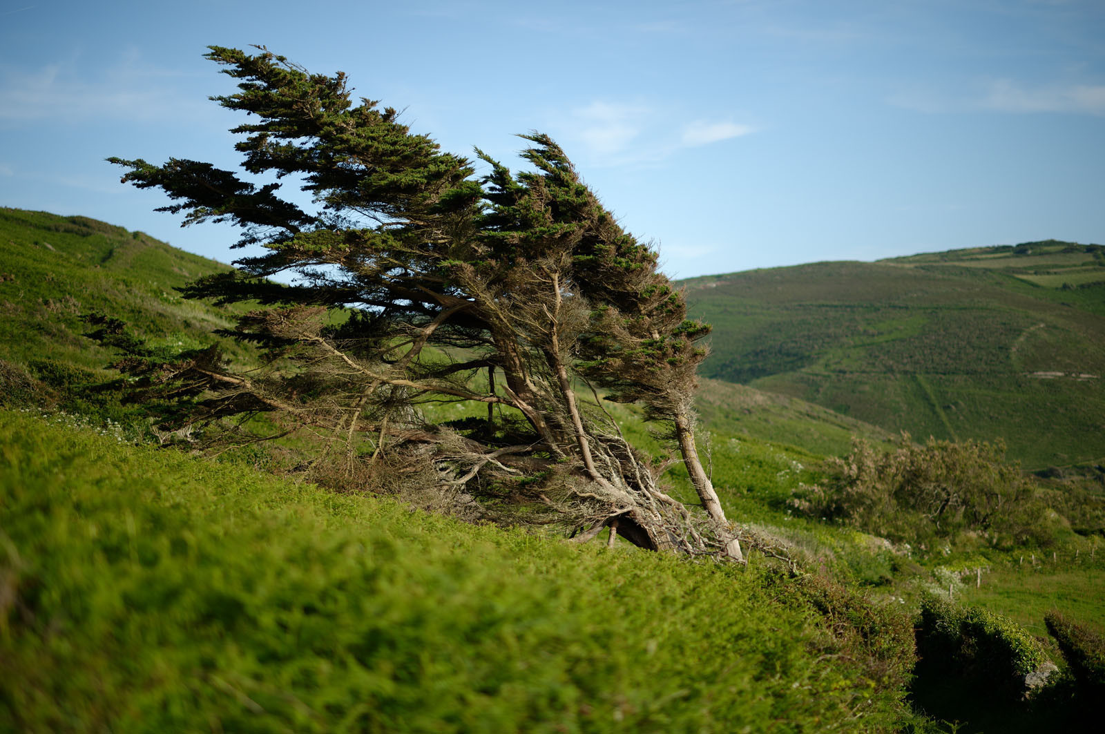Cette baie bien abritée est une plage de galets et de sable fin, et tire son nom des moulins qui existaient autrefois dans la vallée qui la surplombe (écailler le grain). Les roches de l'anse de Cul Rond figurent parmi les plus anciennes de France : plus de 2 milliards d'années.