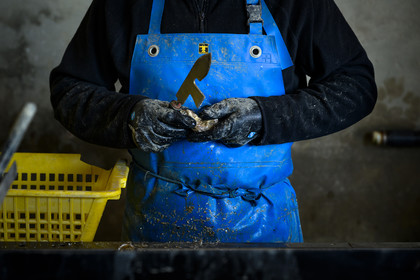 Les huîtres de Saint-Vaast-la-Hougue (Cotentin)