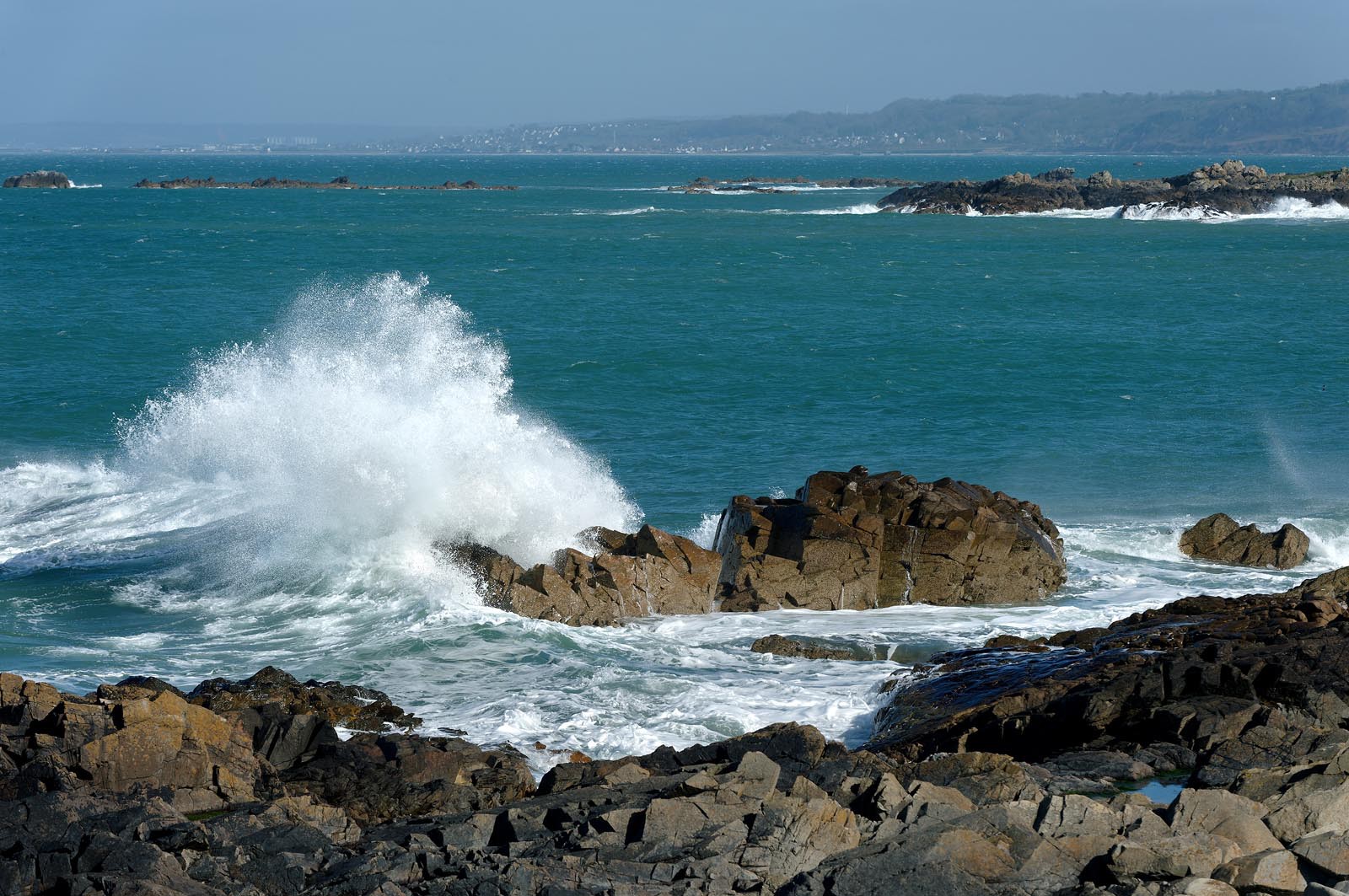 A l’ouest du Cotentin (Manche), la Hague est une terre de contrastes et de lumières, une région sauvage et préservée. Le mot Hague est un ancien terme dialectal normand. Il est issu du vieux norois qui signifie «enclos, terrain clos».La Hague présente un littoral varié : falaises abruptes (entre Urville-Nacqueville et Omonville-la-Rogue, et entre Auderville et Vauville), au pied desquelles se trouve une succession de baies, grandes plages (Urville-Nacqueville et à Vauville), d'îlots et platiers rocheux (cap de la Hague,pointe de Jardeheu..), des massifs dunaires (Biville), des grèves de galets (Anse Saint-Martin), des marais arrière-littoraux (Mare de Vauville) et des vallons boisés (Hubiland, Sabine…). La côte est également agrémentée de petits ports (Goury, le Houguet, Port Racine, Port du Hâble…) et de mouillages.La péninsule haguaise est principalement un pays de landes et de bocage, à l'intérieur des terres, formées de fougères, bruyères, genêts et ajoncs.
