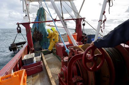 Construit à Cherbourg-en-Cotentin par les Constructions Mécaniques de Normandie (CMN), le PAM Thémis (Patrouilleurs des Affaires Maritimes) renforce le dispositif de surveillance de la zone Manche-Mer du Nord où, outre ses missions de contrôle des pêches, il participe à la permanence opérationnelle établie sous l'autorité du préfet maritime dans le cadre de la fonction de garde-côte.