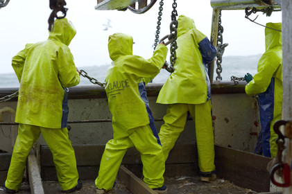 Ce reportage a été réalisé en janvier 2014 à bord du chalutier Marie-Catherine, appartenant à la SARL Armement Cherbourgeois créé en 1999 par Sophie et David LEROY. Cette marée de 7 jours fût assez mouvementée d'une part par la météo très capricieuse, mais également par la difficulté de réaliser les prises de vues. Une sélection de 20 photographies a été présentée lors de la 4ème édition du Festival photo L'Homme et la Mer au Guilvinec (Bretagne) en 2014, ainsi qu'au Musée de Tatihou 'Avis de grand frais (Manche) http:  www.armement-cherbourgeois.fr 